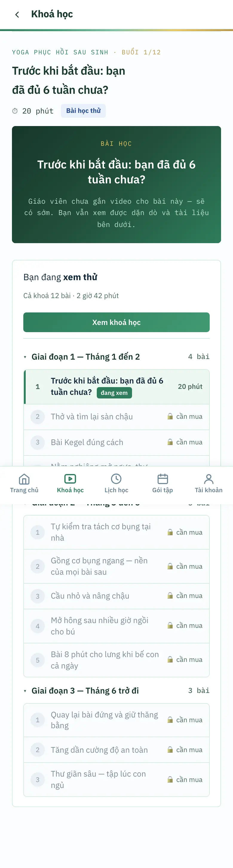 Màn xem thử: khung Bạn đang xem thử, các bài khác ghi 🔒 cần mua